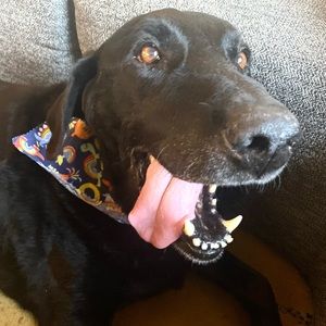 Meet your Posher, Mike